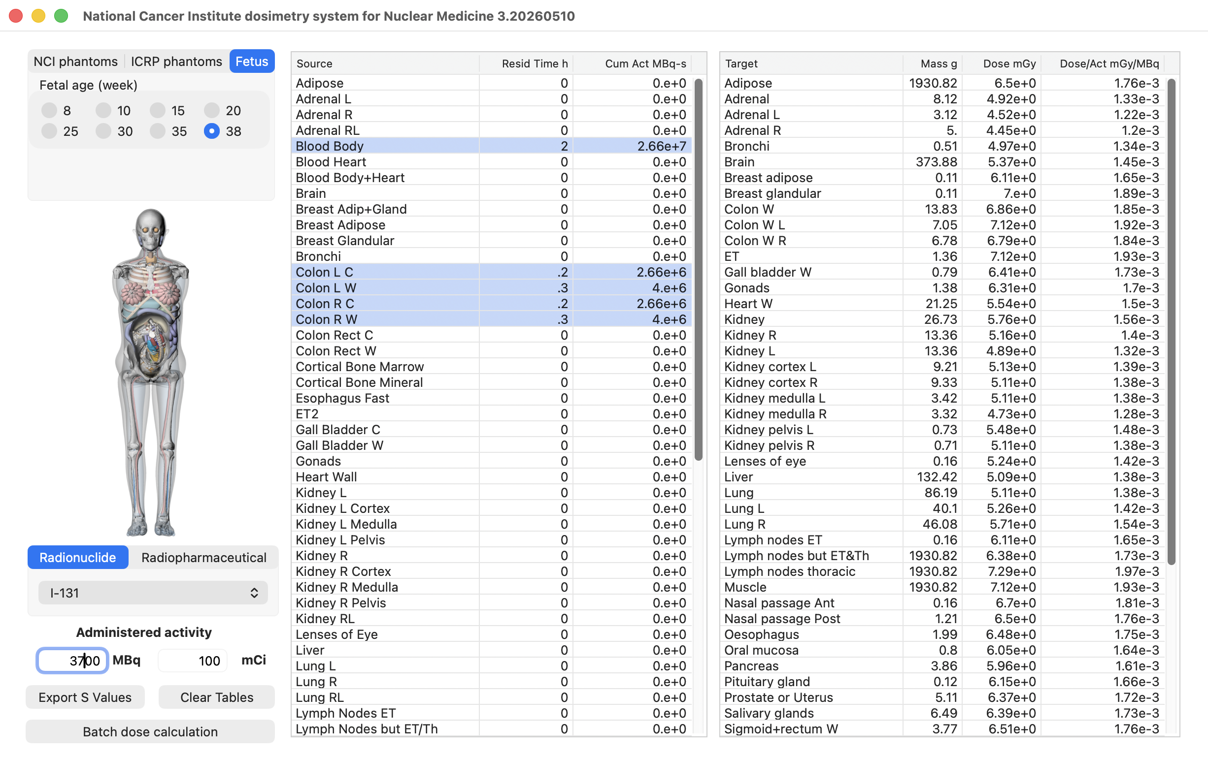 NCINM 3 main window showing fetus phantom selection, source-region data, and target-organ dose output