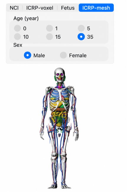 ICRP mesh phantom tab with age and sex selection